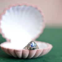 Vintage Pink Scallop Shell Jewellery Display Case and Tray | Parkin and Gerrish (UK)