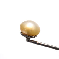 Edwardian Platinum & Natural Pearl Tie Pin | Parkin and Gerrish (UK)