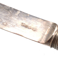 Set of 12 Late 19th Century Thomas Goode Silver Cutlery with Painted Meissen Porcelain Handles in Original Cases | Parkin and Gerrish (UK)