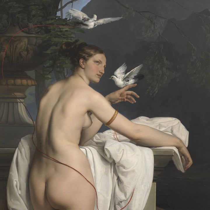 Venus' Dove & Noah's Ark | Parkin and Gerrish