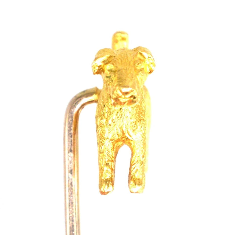 Edwardian 18ct Gold Terrier Dog Tie Pin | Parkin and Gerrish | Antique & Vintage Jewellery