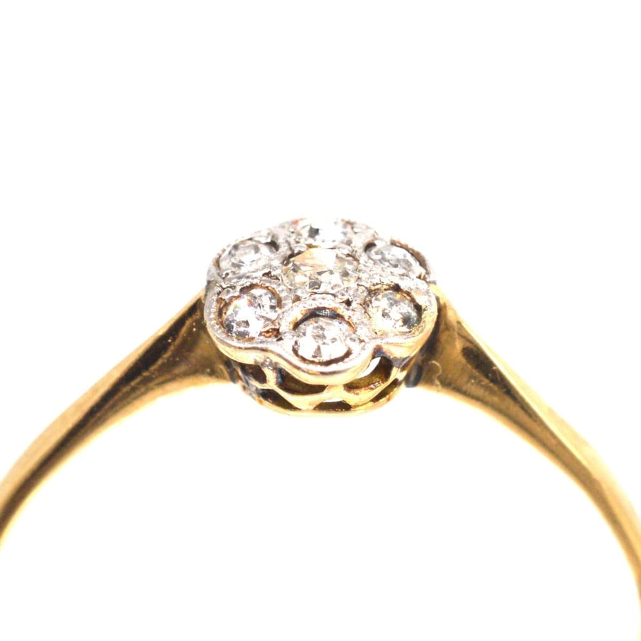 Edwardian Diamond Daisy Cluster Ring | Parkin and Gerrish | Antique & Vintage Jewellery