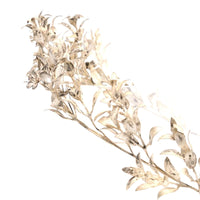 Mid 19th Century Victorian Silver Leaf Marriage Tiara and Matching Corsage Pin Brooch | Parkin and Gerrish (UK)