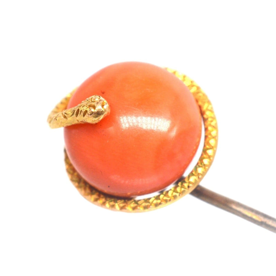 Victorian 15ct Gold Snake Coral Tie Pin | Parkin and Gerrish | Antique & Vintage Jewellery