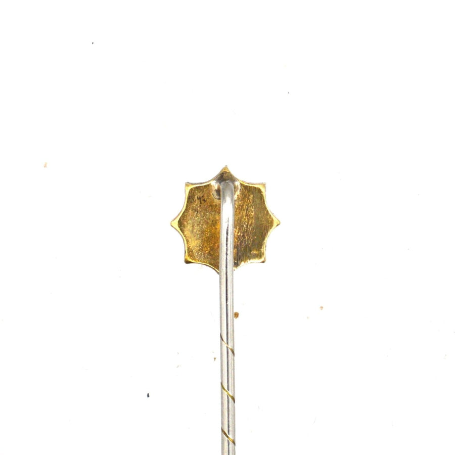 Edwardian 9ct Gold and Ruby Tie Pin | Parkin and Gerrish | Antique & Vintage Jewellery