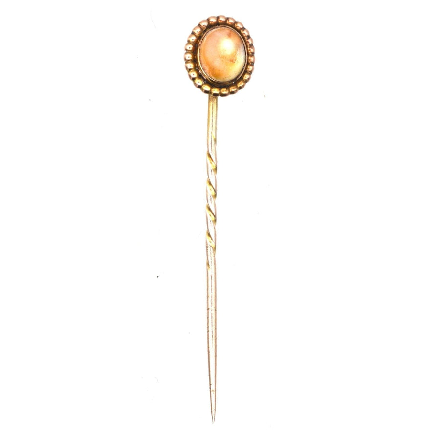 Victorian 9ct Gold Brown Shell Tie Pin | Parkin and Gerrish (UK)