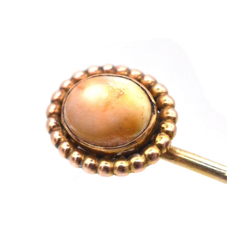 Victorian 9ct Gold Brown Shell Tie Pin | Parkin and Gerrish | Antique & Vintage Jewellery