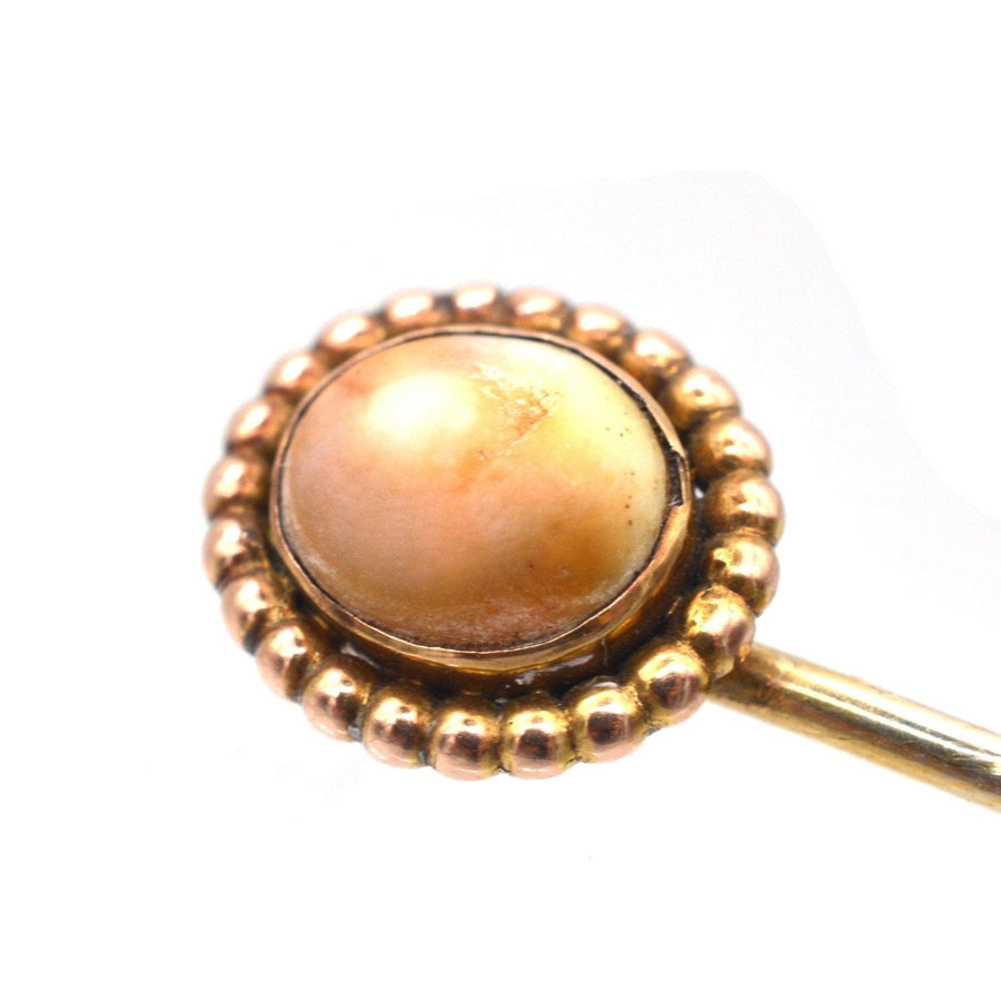 Victorian 9ct Gold Brown Shell Tie Pin | Parkin and Gerrish (UK)