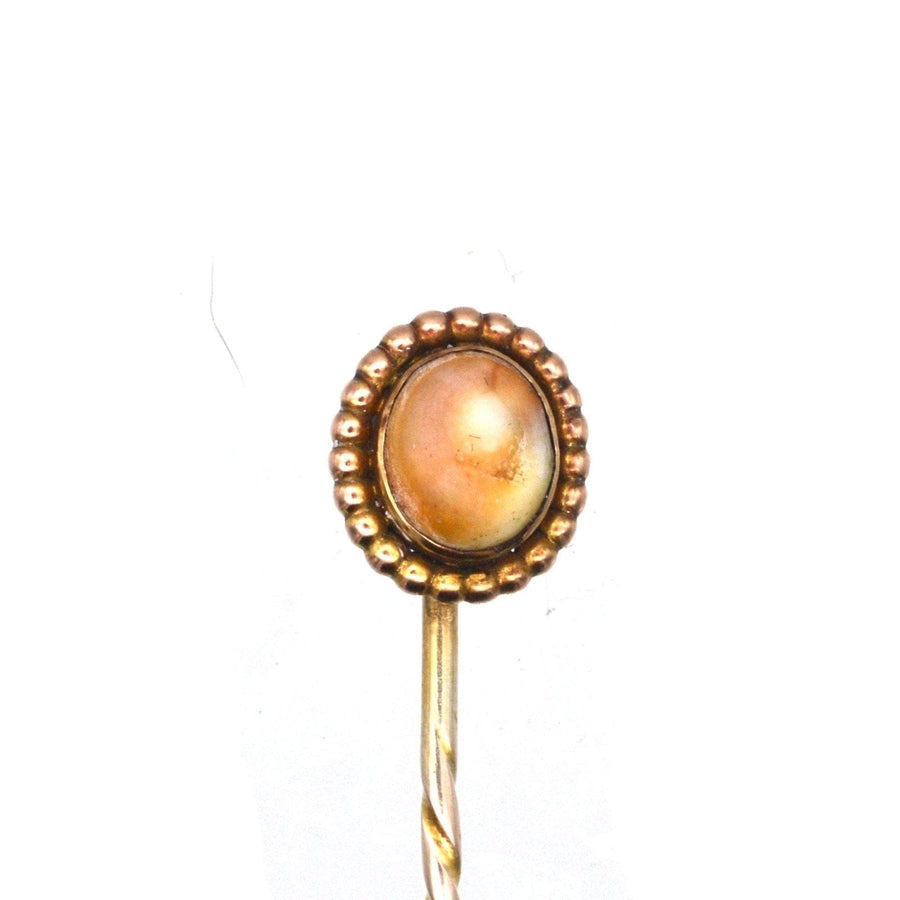 Victorian 9ct Gold Brown Shell Tie Pin | Parkin and Gerrish (UK)