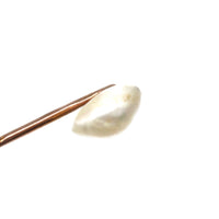 Victorian 9ct Gold Natural Blister Pearl Tie Pin | Parkin and Gerrish (UK)